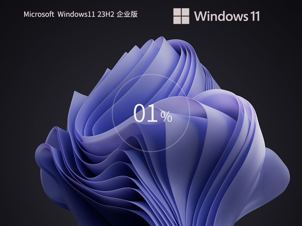 长期服务版Win11下载-2024最新中文Win11企业版下载